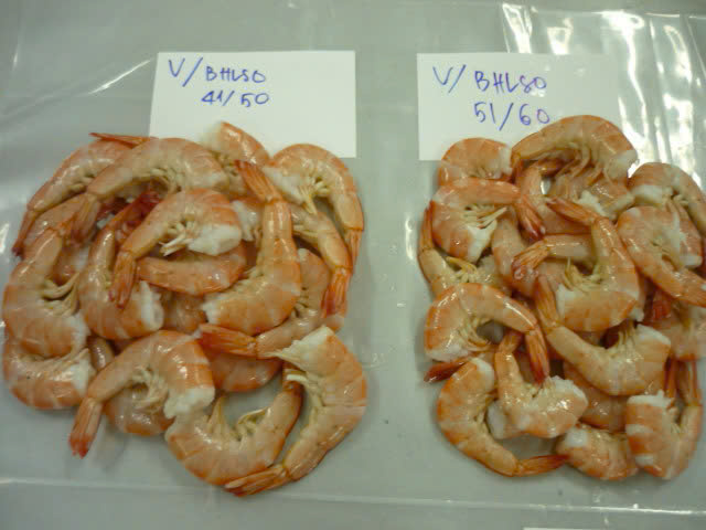 Tôm các loại - Công Ty TNHH MTV Thủy Sản Nam Mỹ